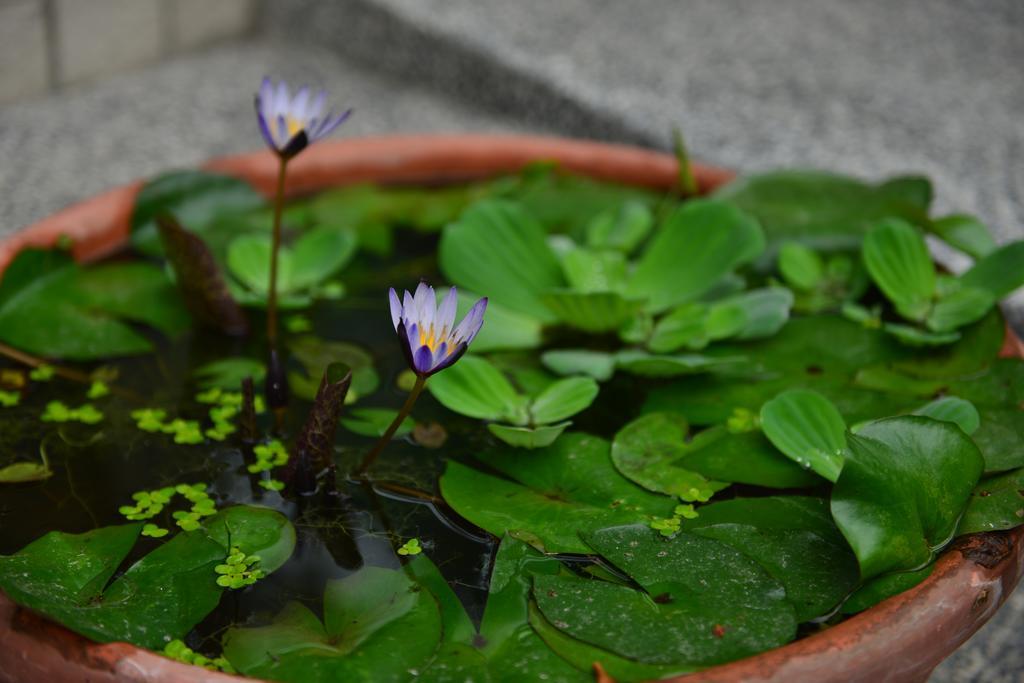 花蓮快樂腳旅宿 Hualien City Exterior foto
